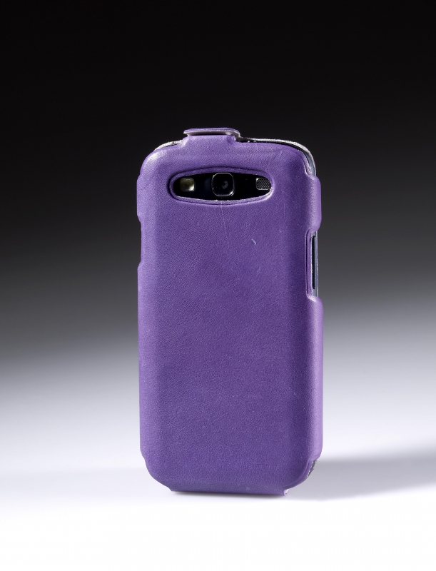 Remarkable and fruitfull model - Purple